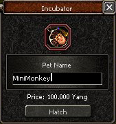 Pet incubator